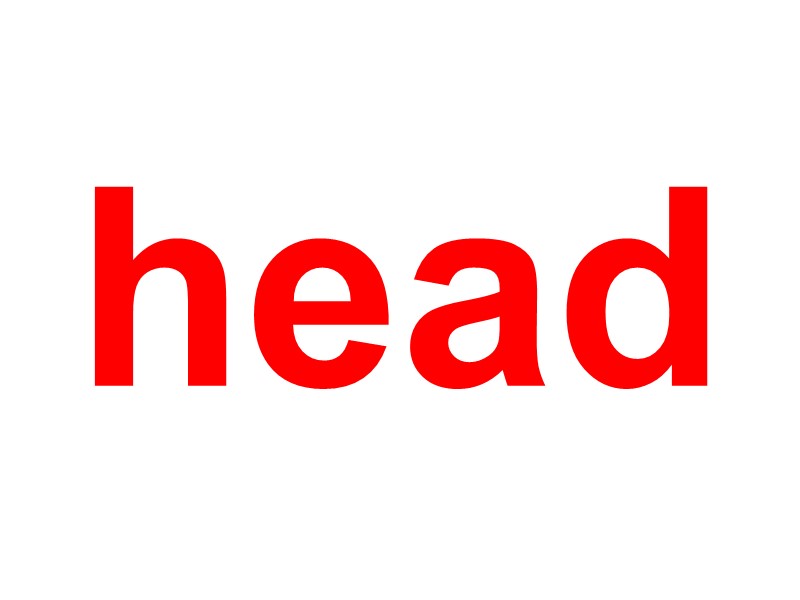 head